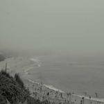 Ryley Braun Profile Picture