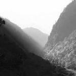 Berenice Macejkovic Profile Picture