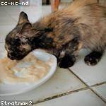 Eudora Lebsack Profile Picture