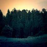 Alexa Lehner Profile Picture