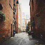 Kayli Gutmann Profile Picture