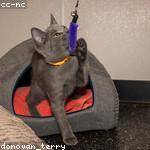 Kayla Lubowitz Profile Picture