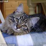 Enoch Weissnat Profile Picture