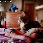 Helena Ernser Profile Picture