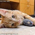 Tyreek McLaughlin Profile Picture