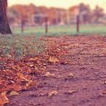 Kiley Hessel Profile Picture