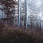 Lew Padberg Profile Picture