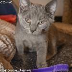 Zander Lueilwitz Profile Picture