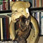 Lenora Rice Profile Picture