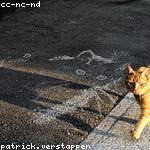 Hiram Leuschke Profile Picture