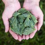 Alex Berge Profile Picture