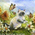 Tatum Howe Profile Picture