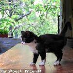 Deja Mohr Profile Picture