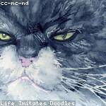 Thaddeus Harris Profile Picture