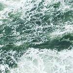 Christ Franecki Profile Picture