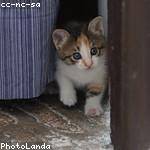 Carole Stanton Profile Picture