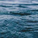 Barney Reilly Profile Picture