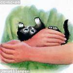 Lelah Bayer Profile Picture