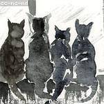 Katrine Champlin Profile Picture