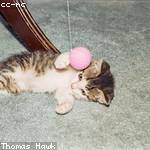 Ethel Osinski Profile Picture