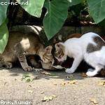 Kaylee Funk Profile Picture