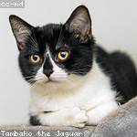 Sterling Mertz Profile Picture