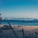 Brook Smitham Profile Picture