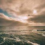 Keeley Gutmann Profile Picture