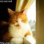 Rod Sporer Profile Picture