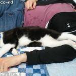 Bernardo Streich Profile Picture