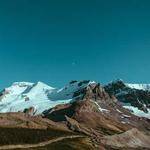 Sylvester Bechtelar Profile Picture