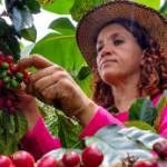 Stephania Moen Profile Picture