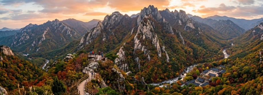 Carolina Cover Image