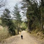 Josep T Profile Picture