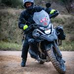 Federico Profile Picture