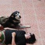 Jos Monegros Profile Picture