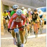 Jose Luis Cimi Profile Picture