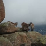 Dolores Fernández Profile Picture