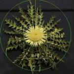 José Miguel Navarro López Profile Picture