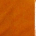 Nicolas Friend Profile Picture