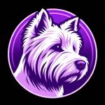 jose luis Muñino Mendez Profile Picture