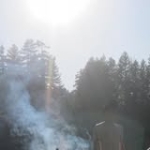 Ernest Neukermans Profile Picture