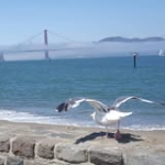 Cesar Gimenez Sanchez Profile Picture