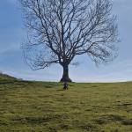 Bittor Profile Picture