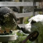 Juan Alberto López Hernández Profile Picture