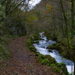 Alain Saiz Profile Picture