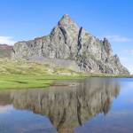 Saul Julia Profile Picture