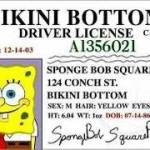 miguelan Profile Picture