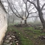 Eme Ros Profile Picture