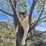 Carla Profile Picture